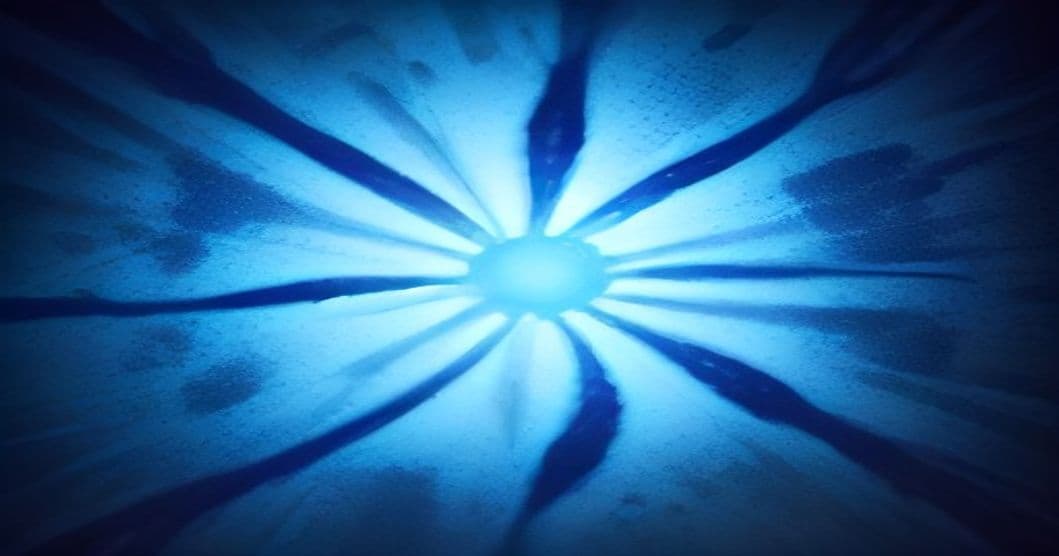Stanford Breakthrough: Evo 2 AI Model Generates 300 Phages to Combat E. coli - What You Need to Know